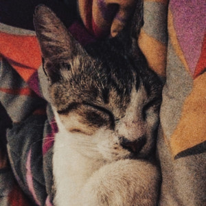 You're Gonna Live Forever in Me (COVER版)