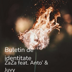 Buletin De Identitate (Radio Version)