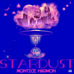 I Can't Stop (I Won't Stop) (feat. T-Wixx & Bastard of Crunk) (Explicit)