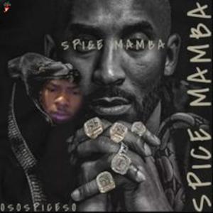 SPICEMAMBA (Explicit)