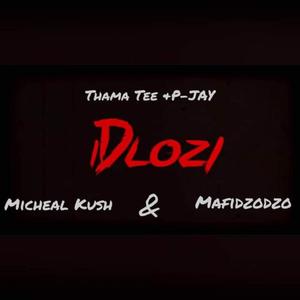 Idlozi (feat. Micheal Kush & Mafidzodzo)