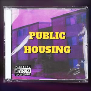 Public Housing (feat. DreBxnddz) [Explicit]