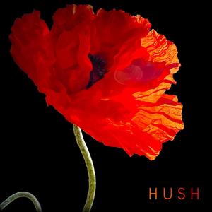 Hush