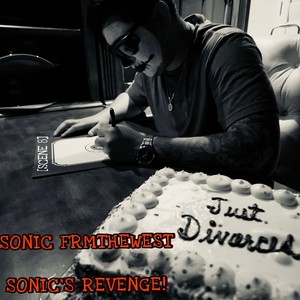SONIC'S REVENGE (Explicit)