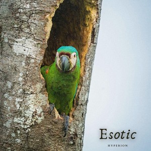 Hyperion - Esotic (Radio Edit)