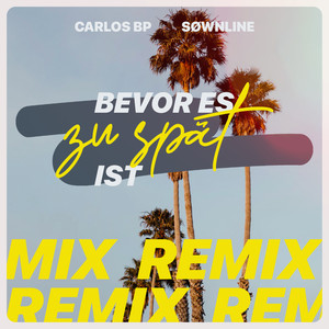 Bevor es zu spät ist (Remix)