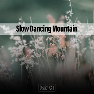 Slow Dancing Mountain District XXIII