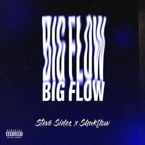 Big Flow (feat. Shakflow) [Explicit]