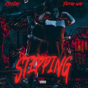 Stepping (feat. KiccDoe) [Explicit]