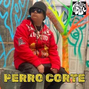 Perro Corte (feat. THEPHILLIPSBVKS)