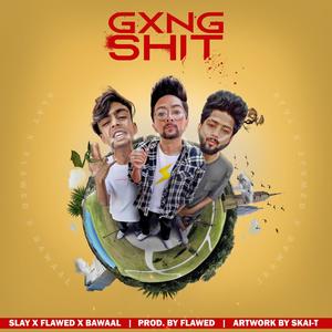 Gxng **** (feat. Slay™ & Bawaal) (Explicit)