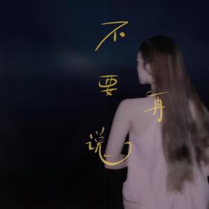 不要再说 Don't Say Anymore