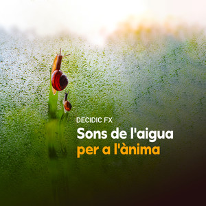 Sons de l'aigua per a l'ànima