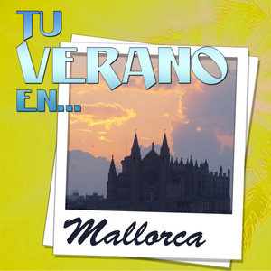 Firework-The Summer Party Band