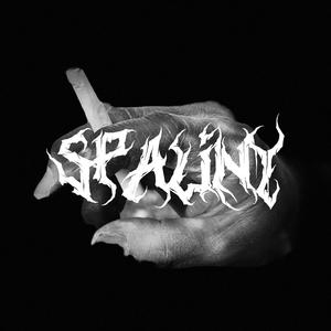 Spaliny (Explicit)