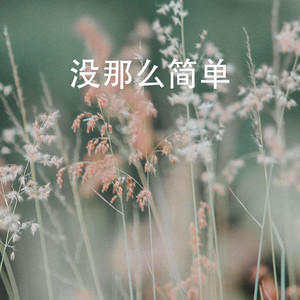 没那么简单