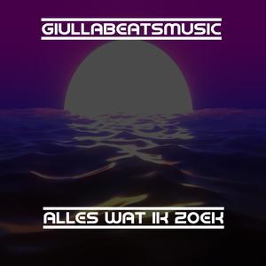 Alles wat ik zoek (Inst.)