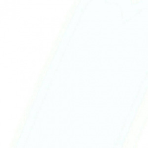 不再让你孤单   Cove