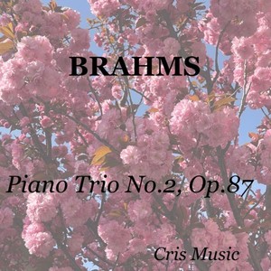 Piano Trio No.2, Op.87 - 3. Scherzo. Presto. Poco meno presto