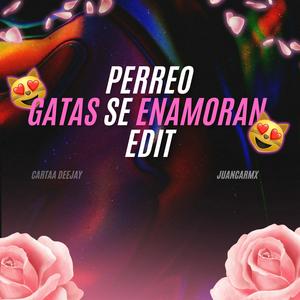 Perreo Gatas Se Enamoran (feat. JuancaRMX) (Remix|Explicit)