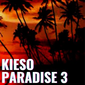 Kieso Paradise 3