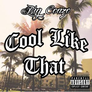 Cool Like That (Explicit)