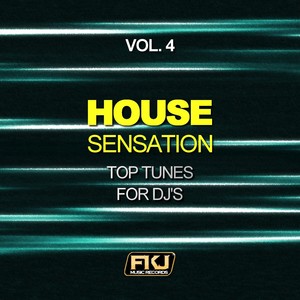 House Sensation, Vol. 4 (Top Tunes for DJ's)