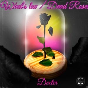 What's luv ? / dead roses (Explicit)