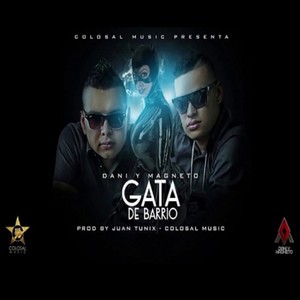 Gata de Barrio