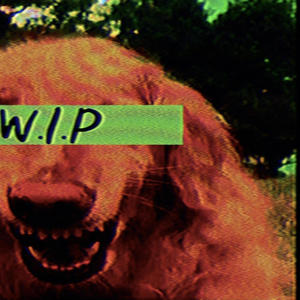 W.I.P