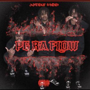 PG RA Flow (Explicit)