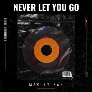 Never Let You Go (feat. Marley Rae)