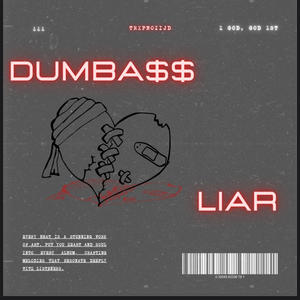 Dumbass Liar (Explicit)