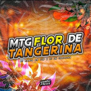 MTG Flor de Tangerina (feat. DJ LN Canalha & Whanted Fluxos) (Explicit)