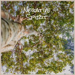 Negative Spirit