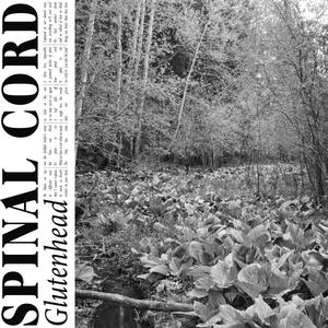 Spinal Cord (feat. Neb.)