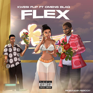 FLEX (Explicit)