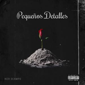 Pequeños Detalles (feat. Bryan Jess)