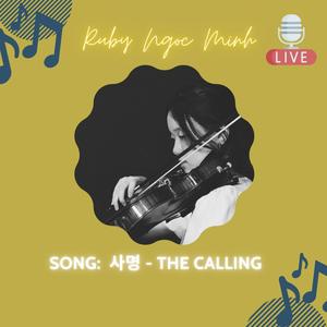 The Calling (Hoanglee Remix|Live)