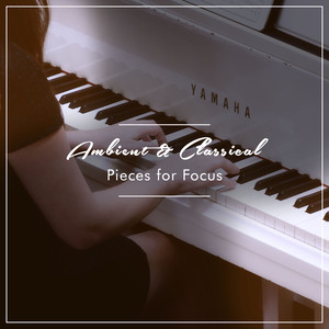 Sonata No 20 in G Major Op 49 No 2 - II Tempo di Menuetto