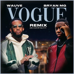 Vogue Remix (feat. Bryan Mg)