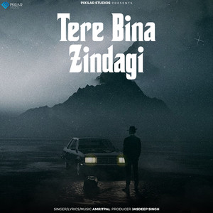 Tere Bina Zindagi