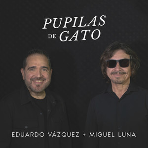 Pupilas de Gato