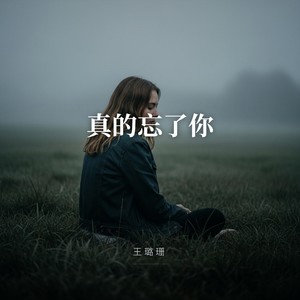 真的忘了你 (女版)封面