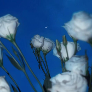 怎么了 (DJ空灵鼓)