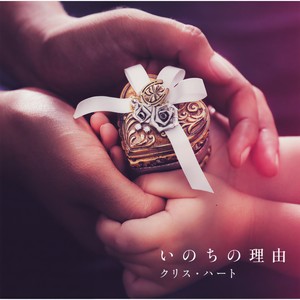 蕾