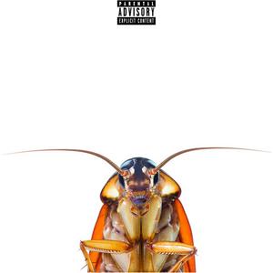 Cockroach (**** IT UP) [Explicit]