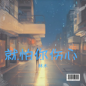 爱情导演封面