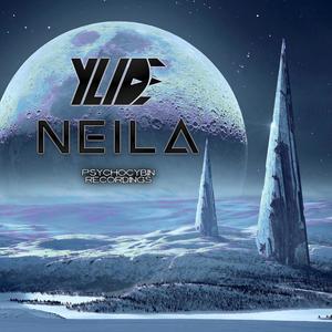 NeilA