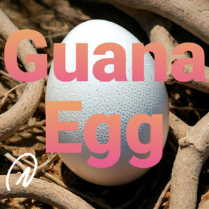 Guana Egg